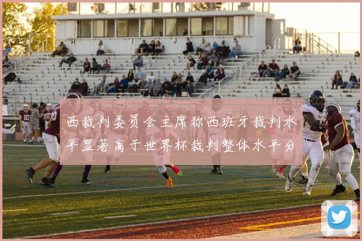 西裁判委员会主席称西班牙裁判水平显著高于世界杯裁判整体水平分析