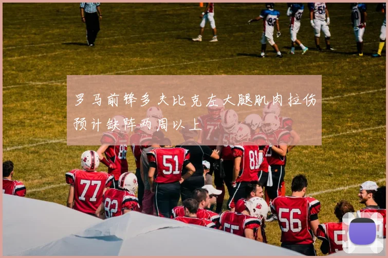 罗马前锋多夫比克左大腿肌肉拉伤预计缺阵两周以上